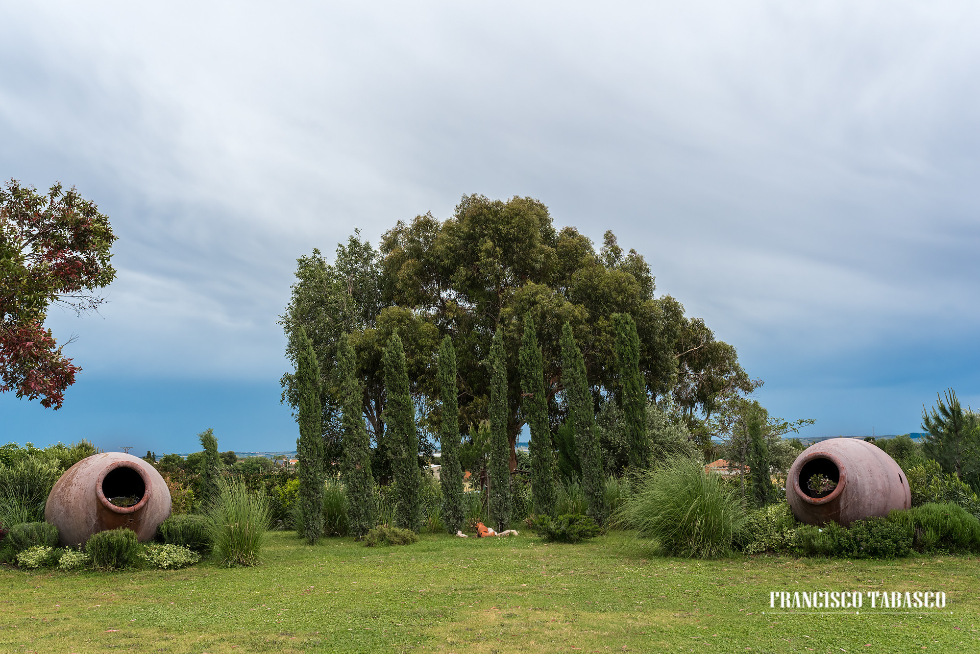 Finca_las_Bocas_Cubas_de_la_Sagra_Madrid_7