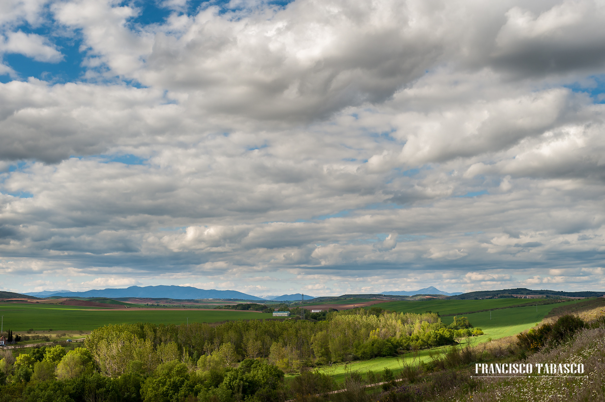 Boda_Palacio_Galápagos-Guadalajara_14