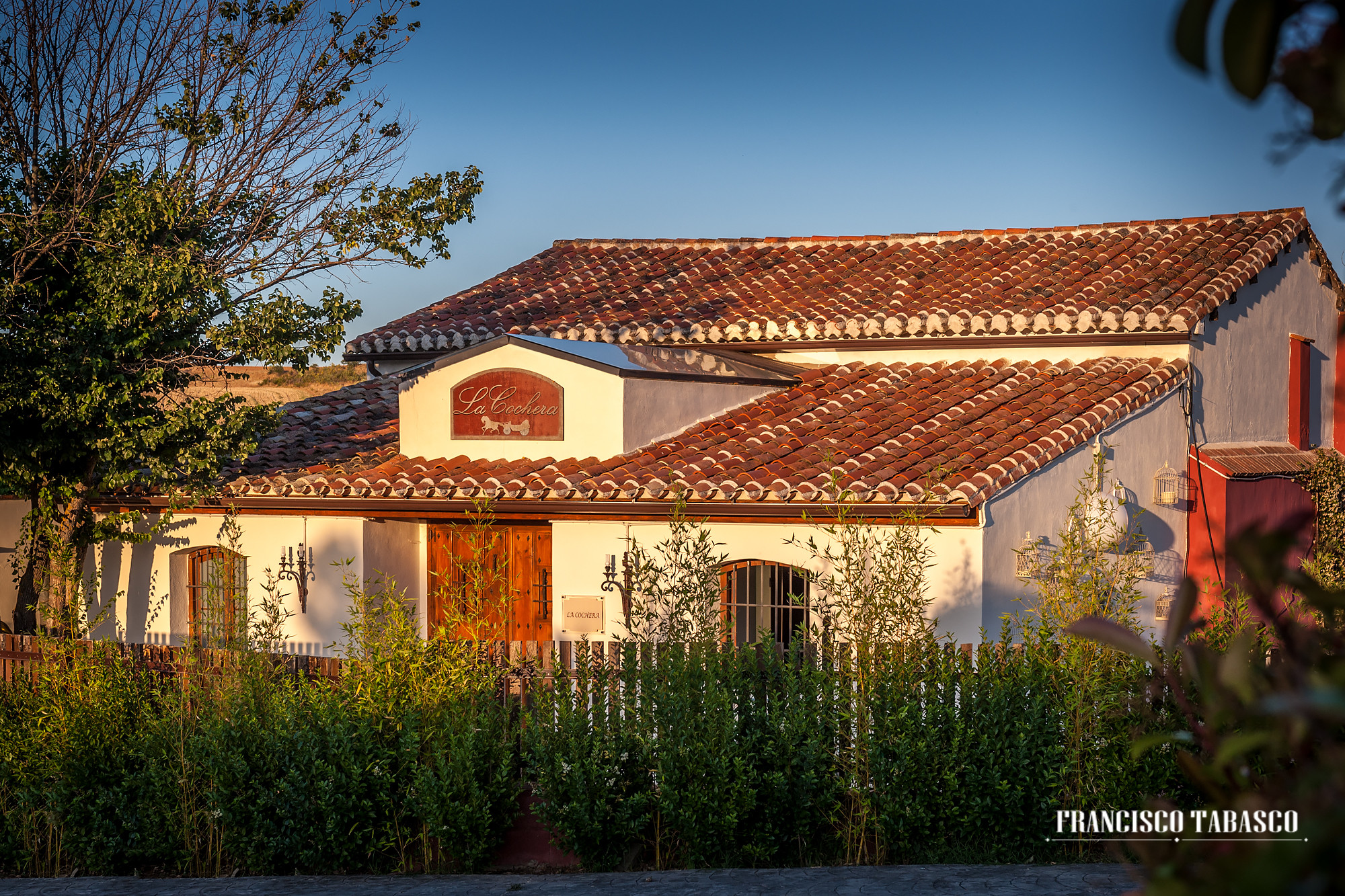 Boda_Palacio_Galápagos-Guadalajara_4