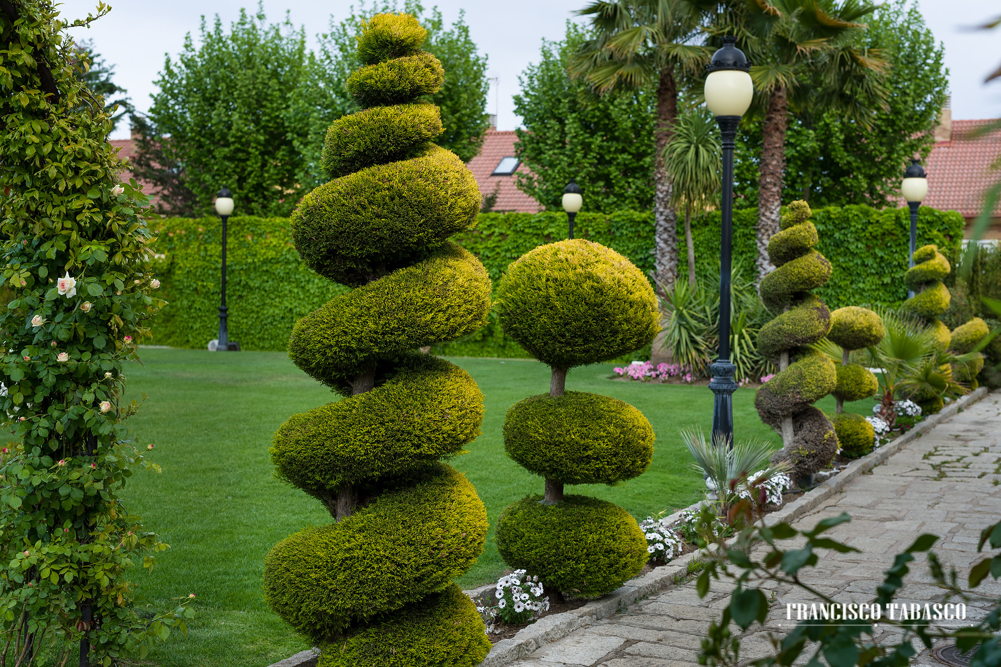 Boda_Finca_la_Roman&eacute;e_16