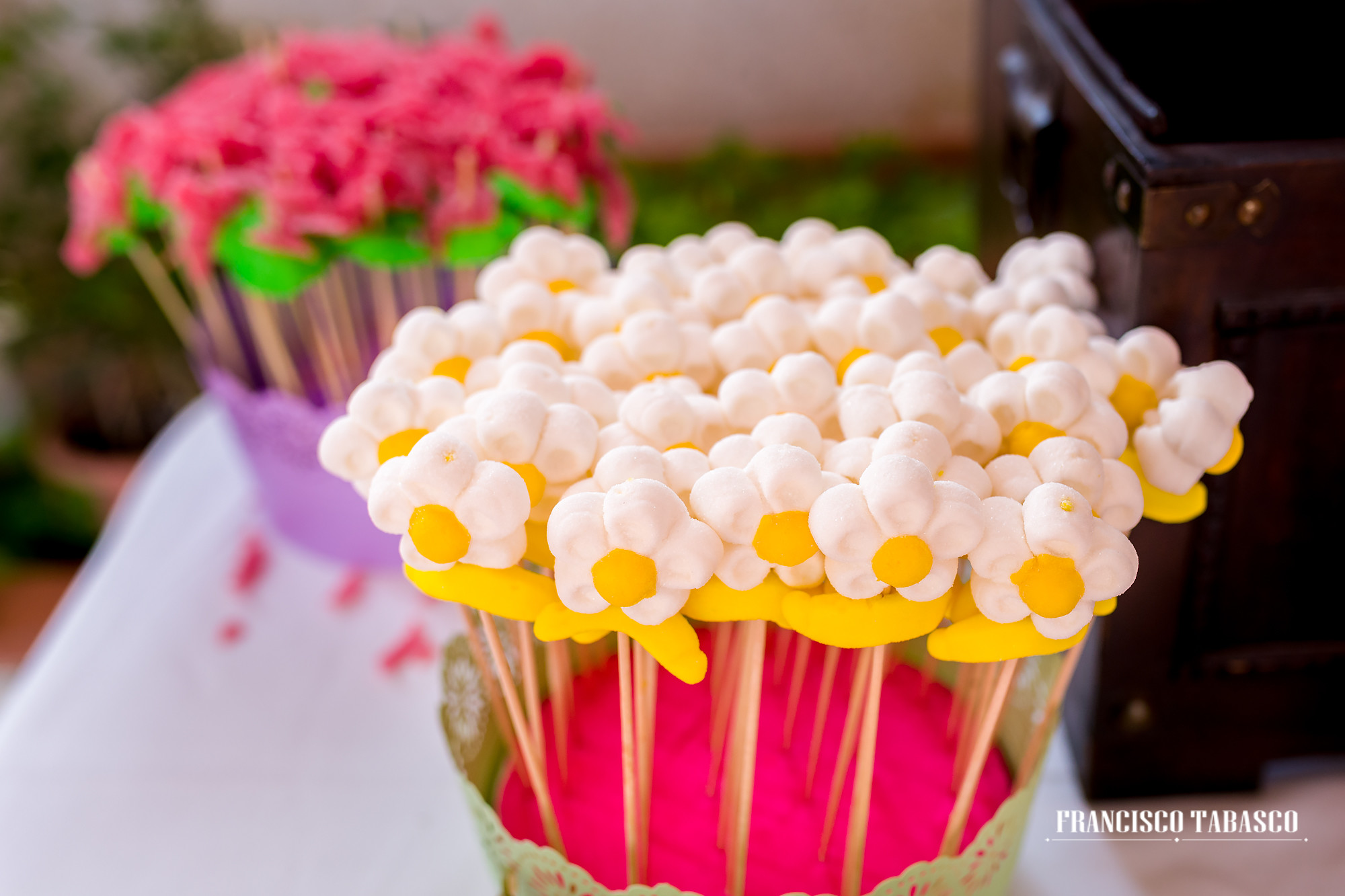 Boda_Finca_las_Bocas_42