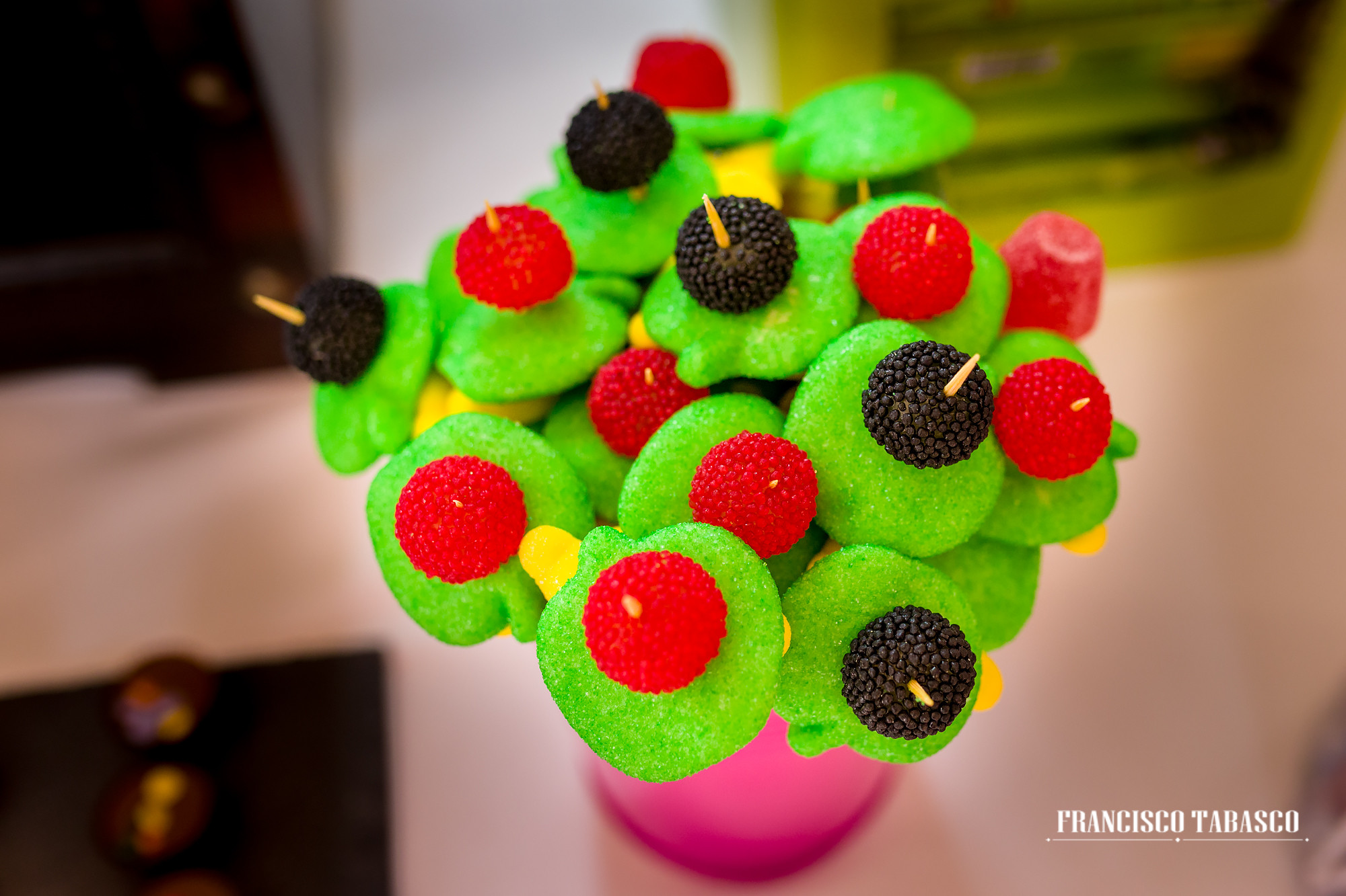 Boda_Finca_las_Bocas_43