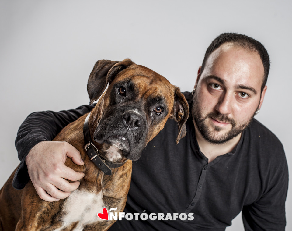 fotografía boxer