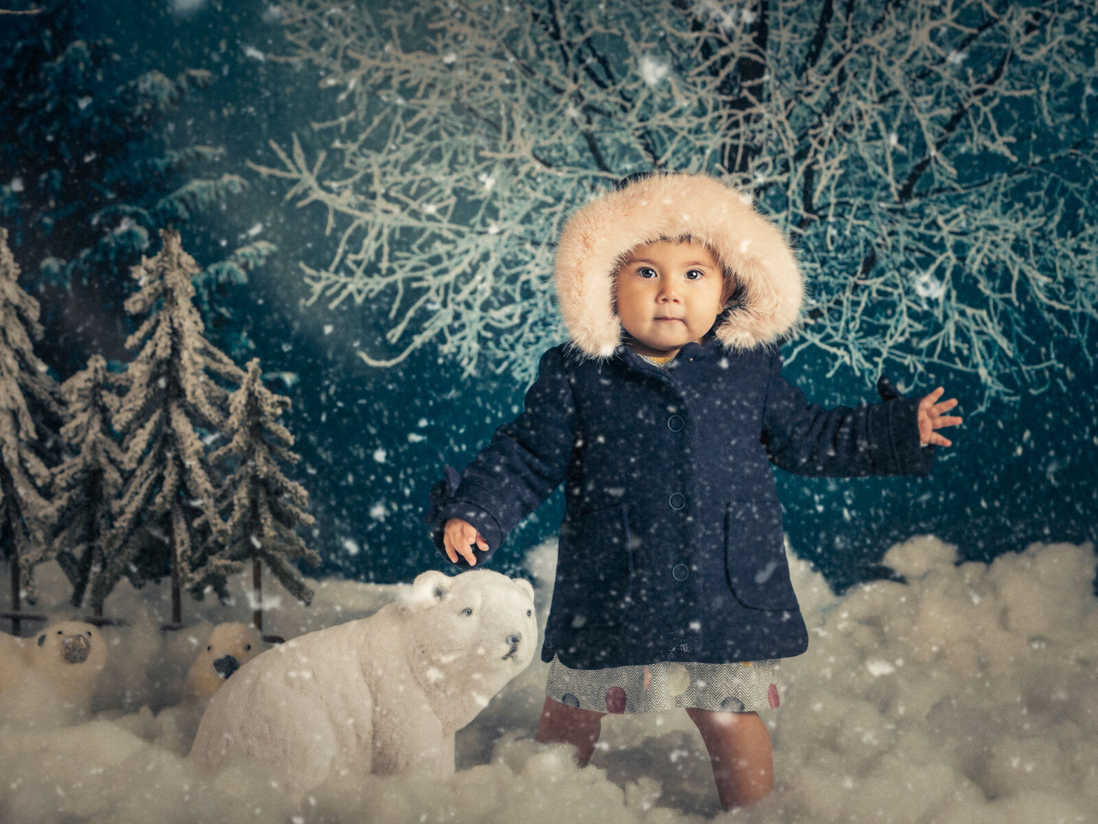 Ñ Fotógrafos  - fotos-navidad-2018-valladolid-nfotografos-004-copia-ts20251228203931179002.jpg