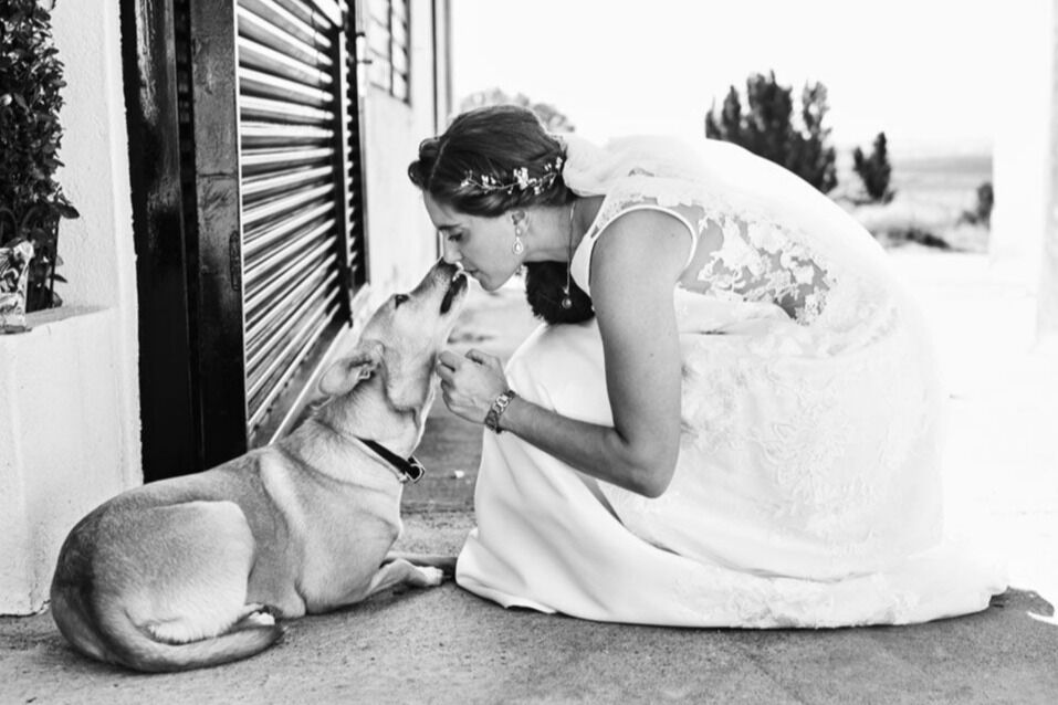 rebate studio - rebatestudio-fotografos-de-bodas-salamanca.jpg