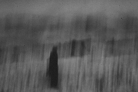 Fotografía Antropomorfica