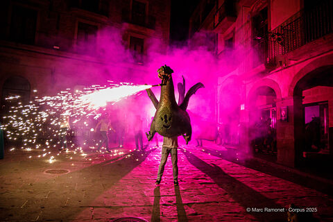 Roda de Foc