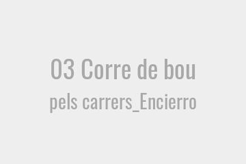 03 Corre de bou pels carrers_Encierro