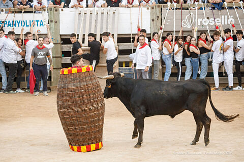 07 Diumenge Corre de bou