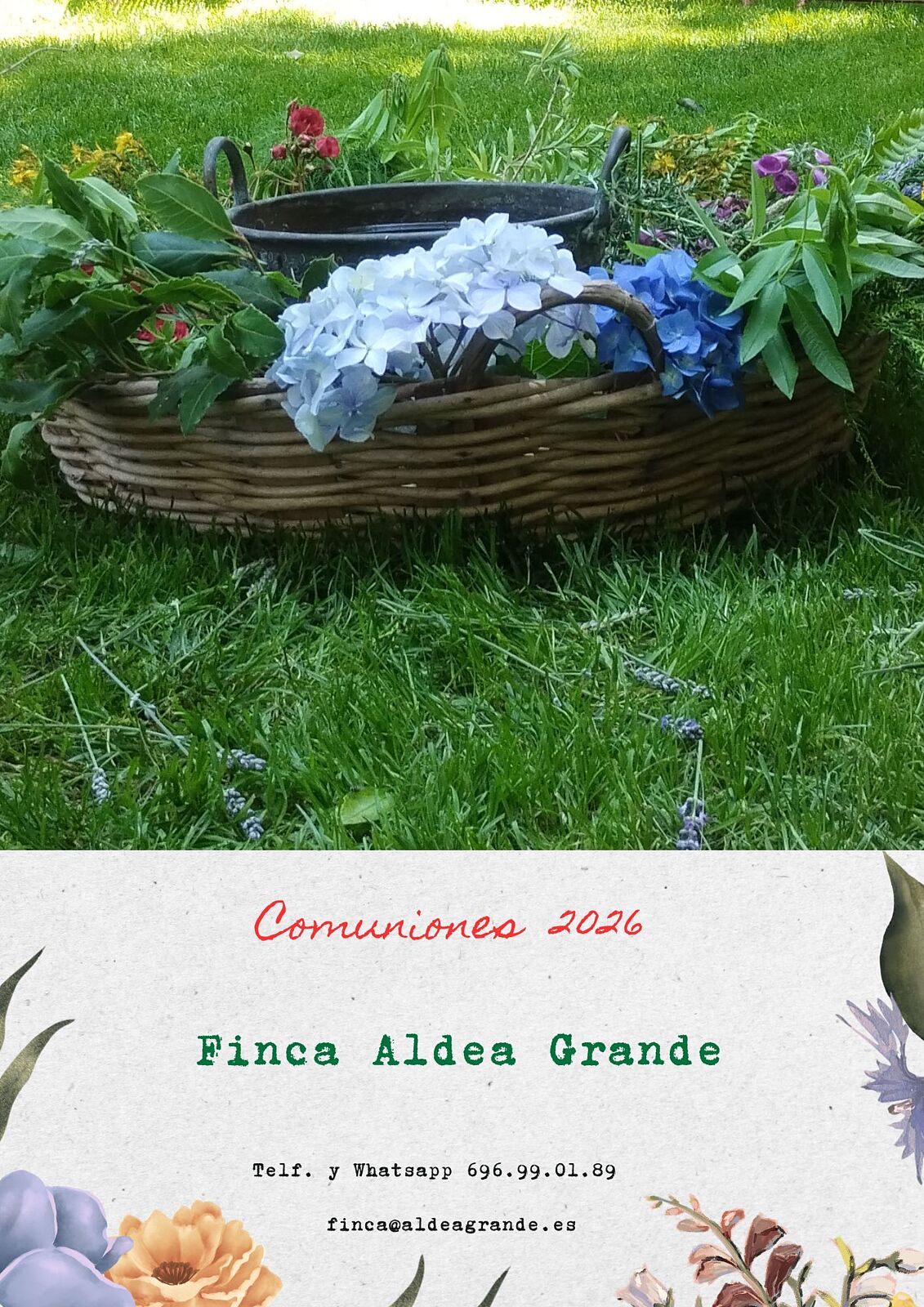 Finca Aldea Grande - 1-ts20260202192556207127.jpg