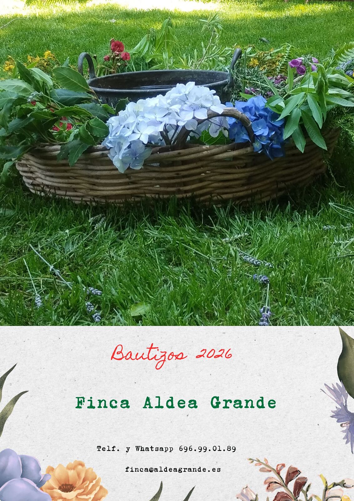 Finca Aldea Grande - 1-ts20260202193334845852.jpg