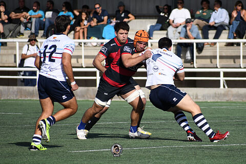 Rugby
