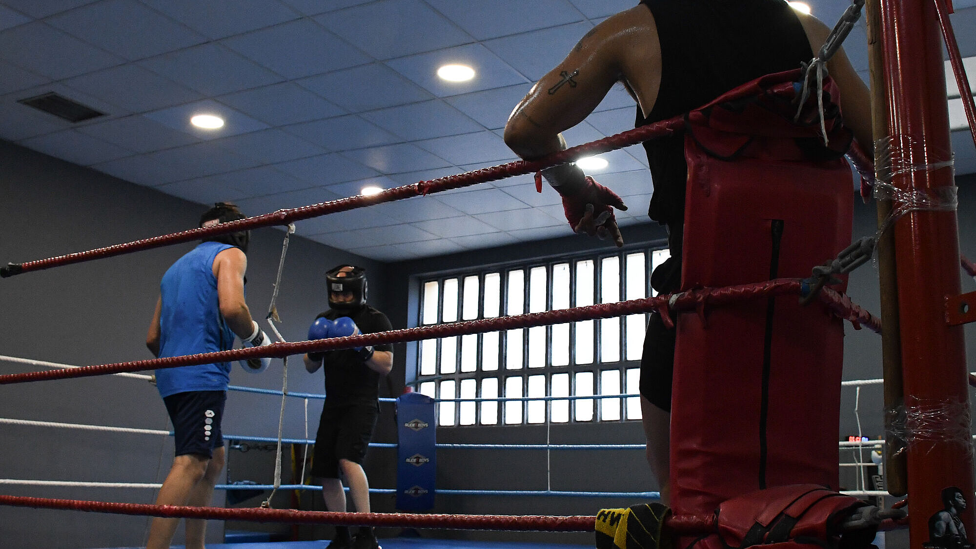 BOXEO