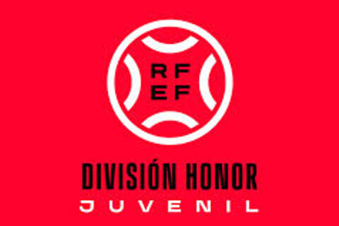 DIVISION HONOR JUVENIL