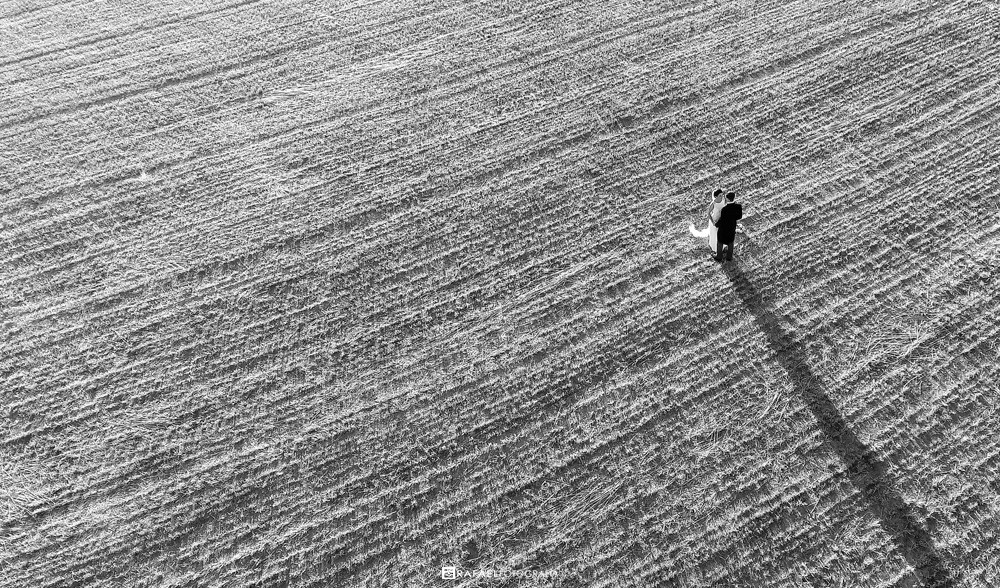 DJI_0011.00_49_40_22.Imagen fija008