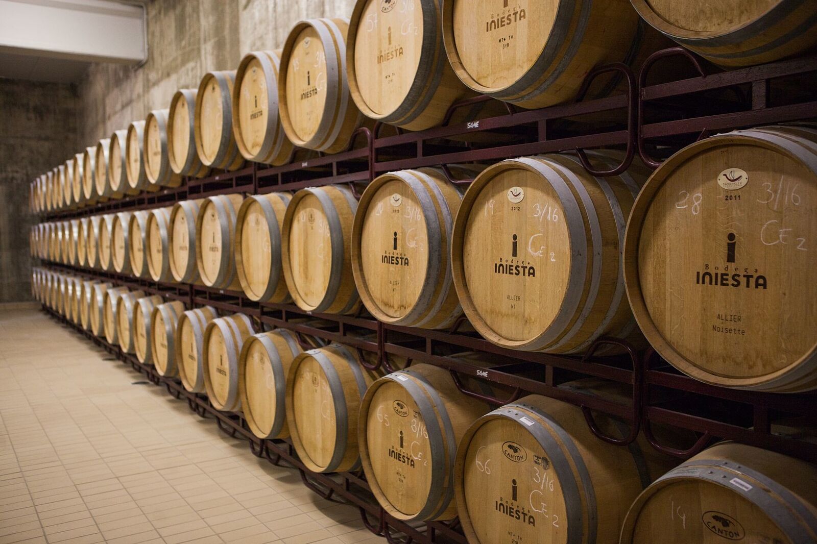 José Manuel González - 5-ts20251230061115108777.jpg