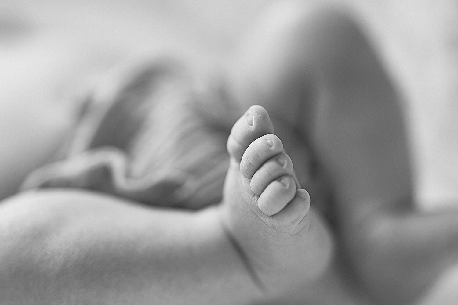 - fotografia-de-recien-nacido-en-torrent-ts20250919110303292491.jpg