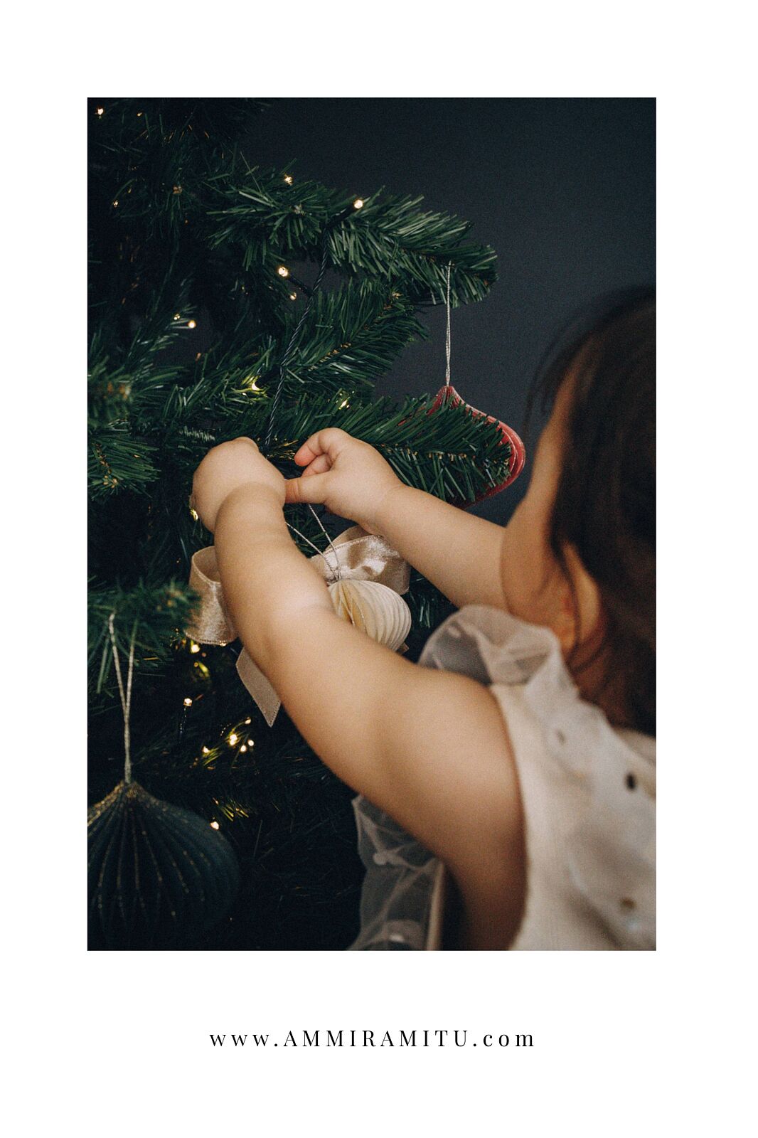 Ammiramitu - il-mio-progetto-copia-copia-1-10-ts20251115012519444737.jpeg