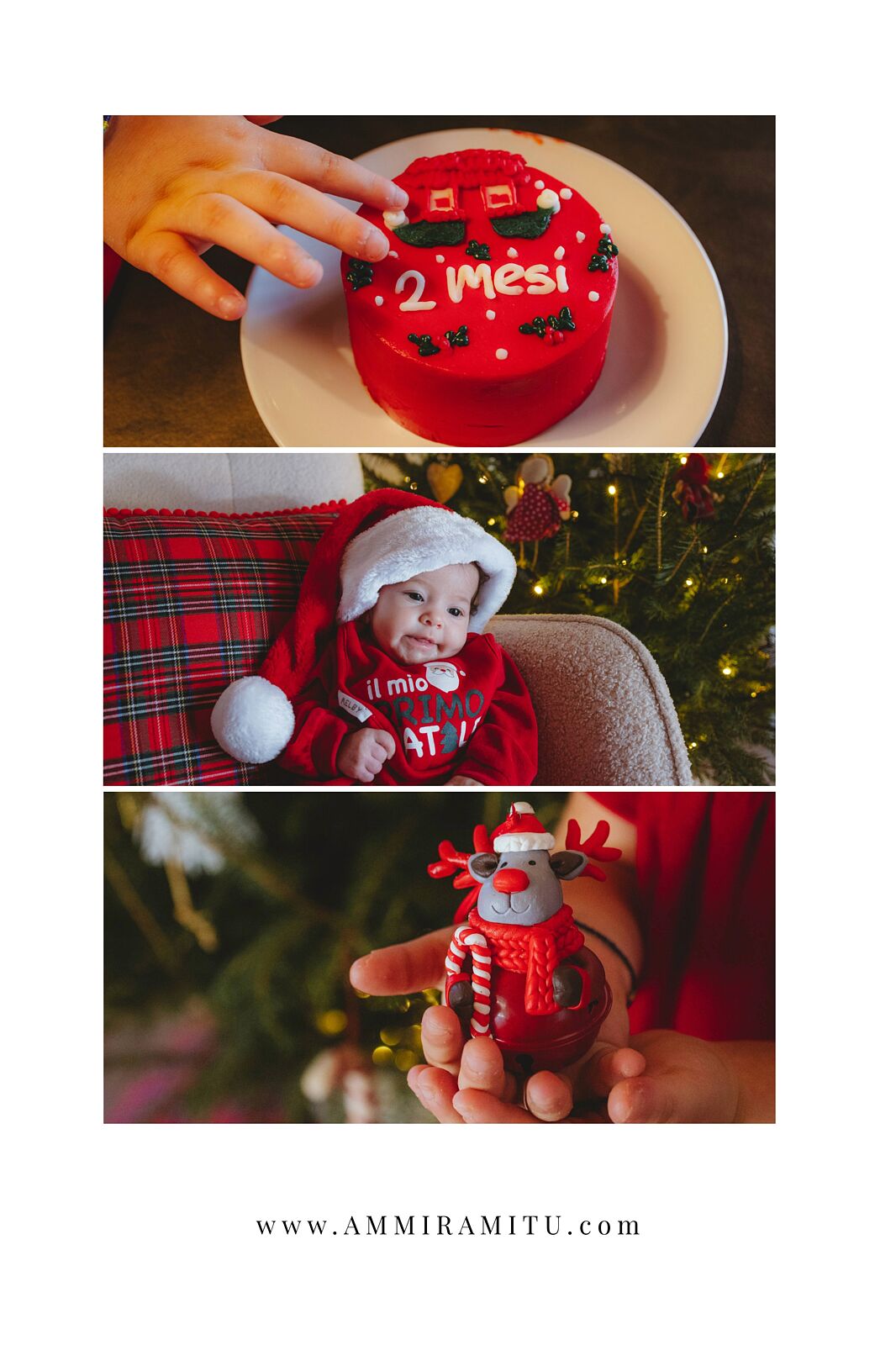 Ammiramitu - il-mio-progetto-copia-copia-19-1-ts20251115015420660608.jpeg