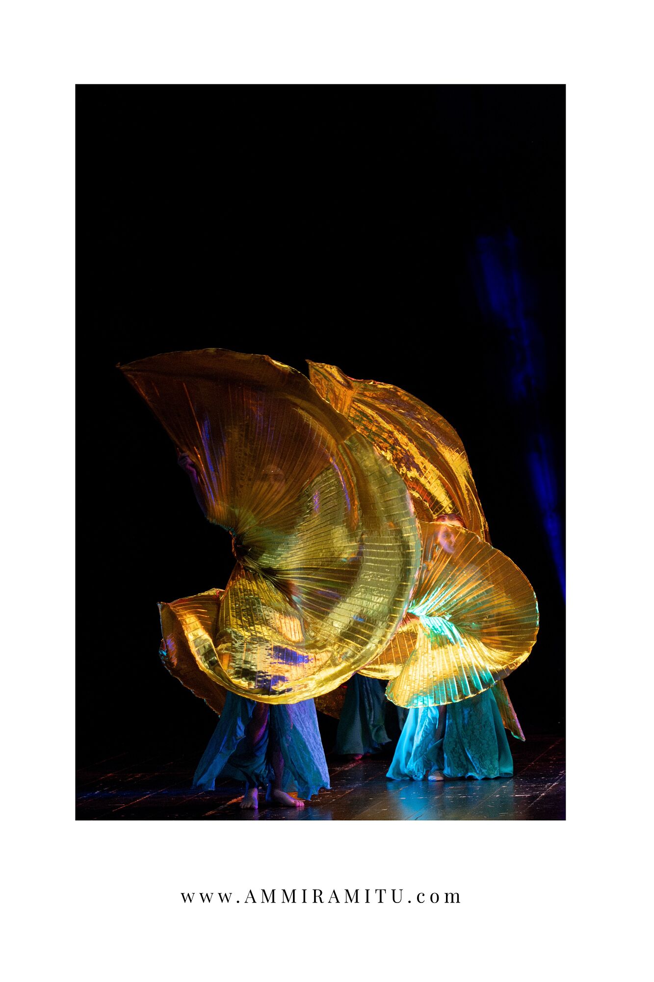 Il mio progetto copia copia-9 (2)