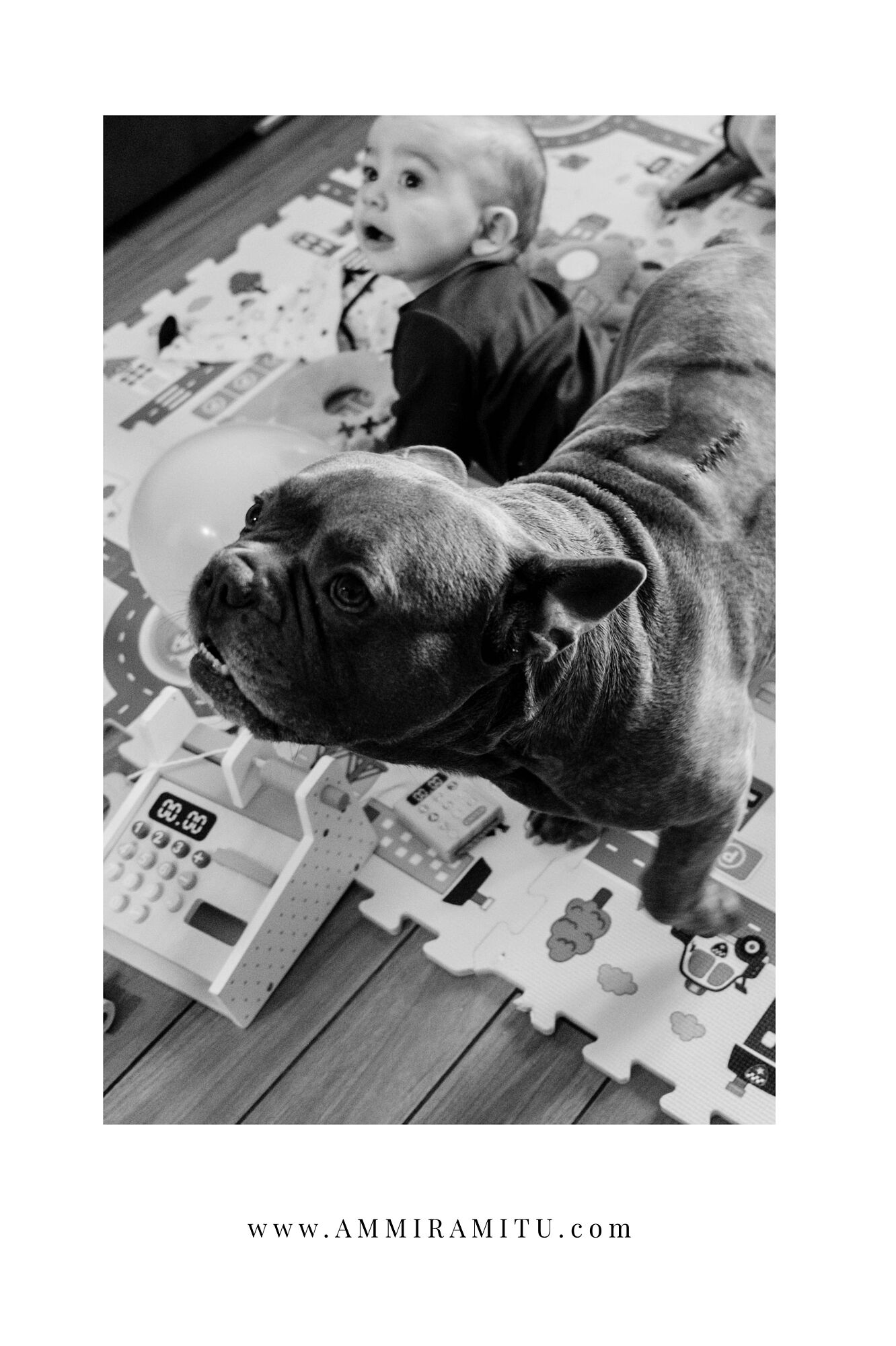 Il mio progetto copia copia-26 (3)