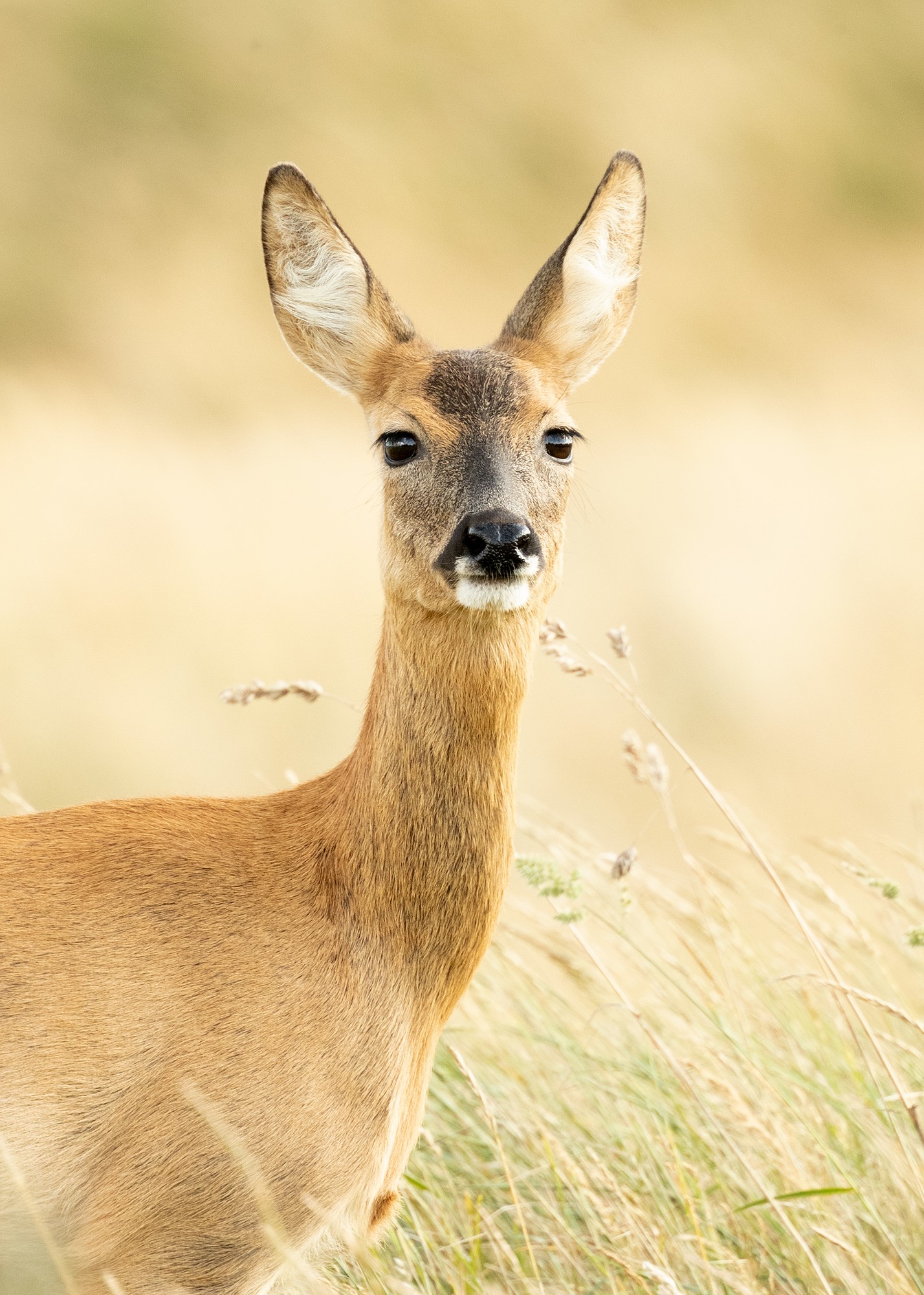 _B9I0881-Cristina-Abilleira