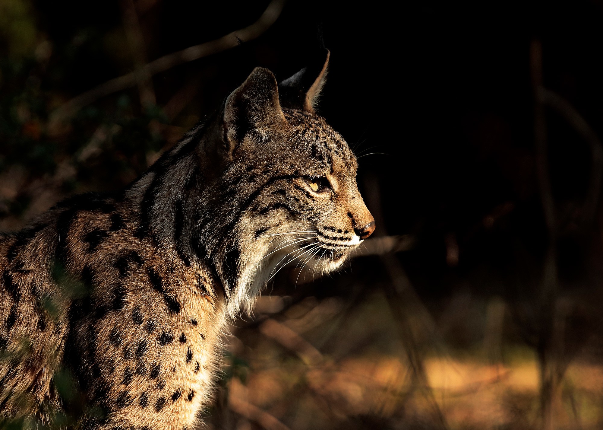 _B9I1458-Cristina-Abilleira