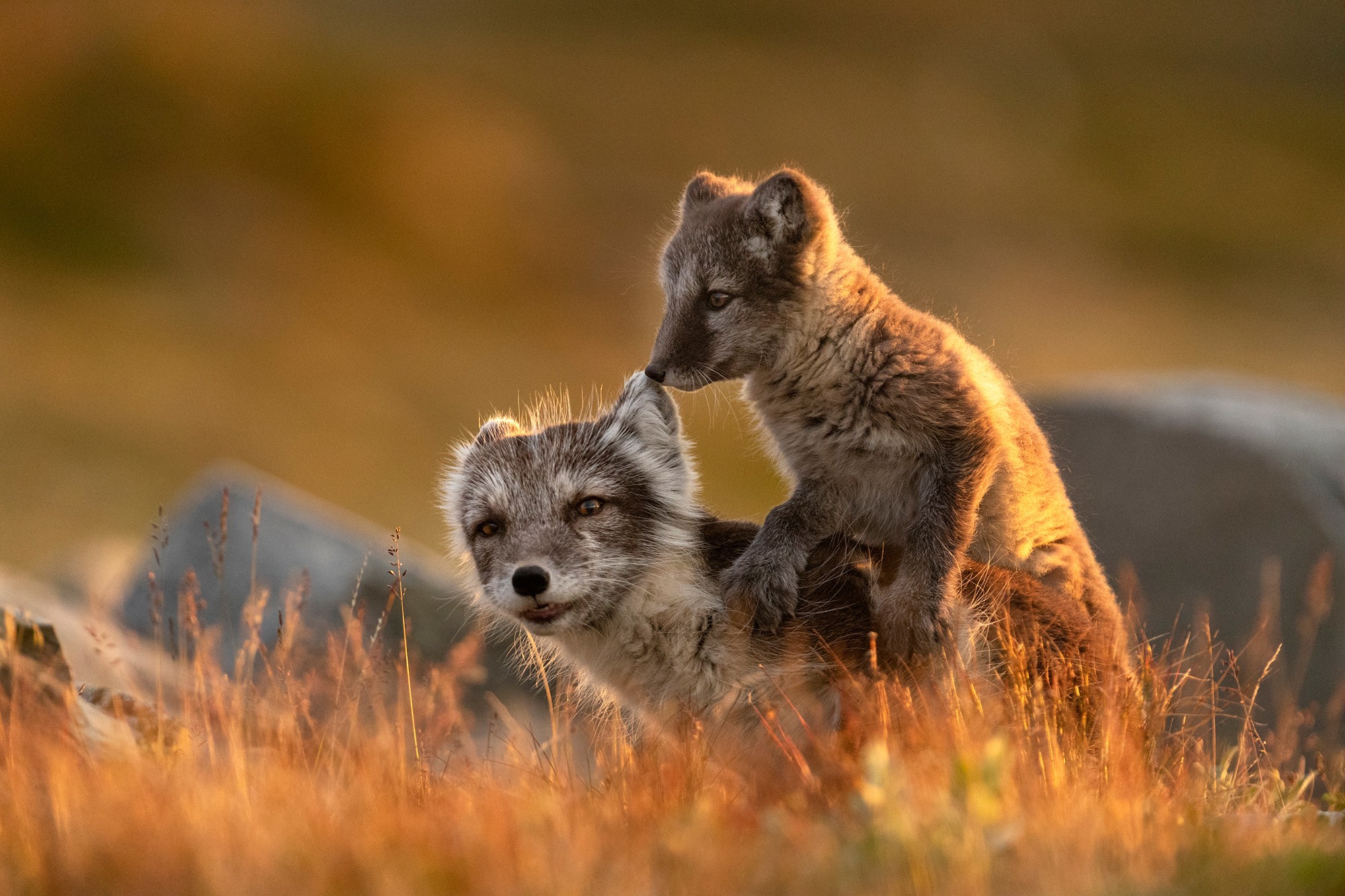 _B9I2029-Cristina-Abilleira