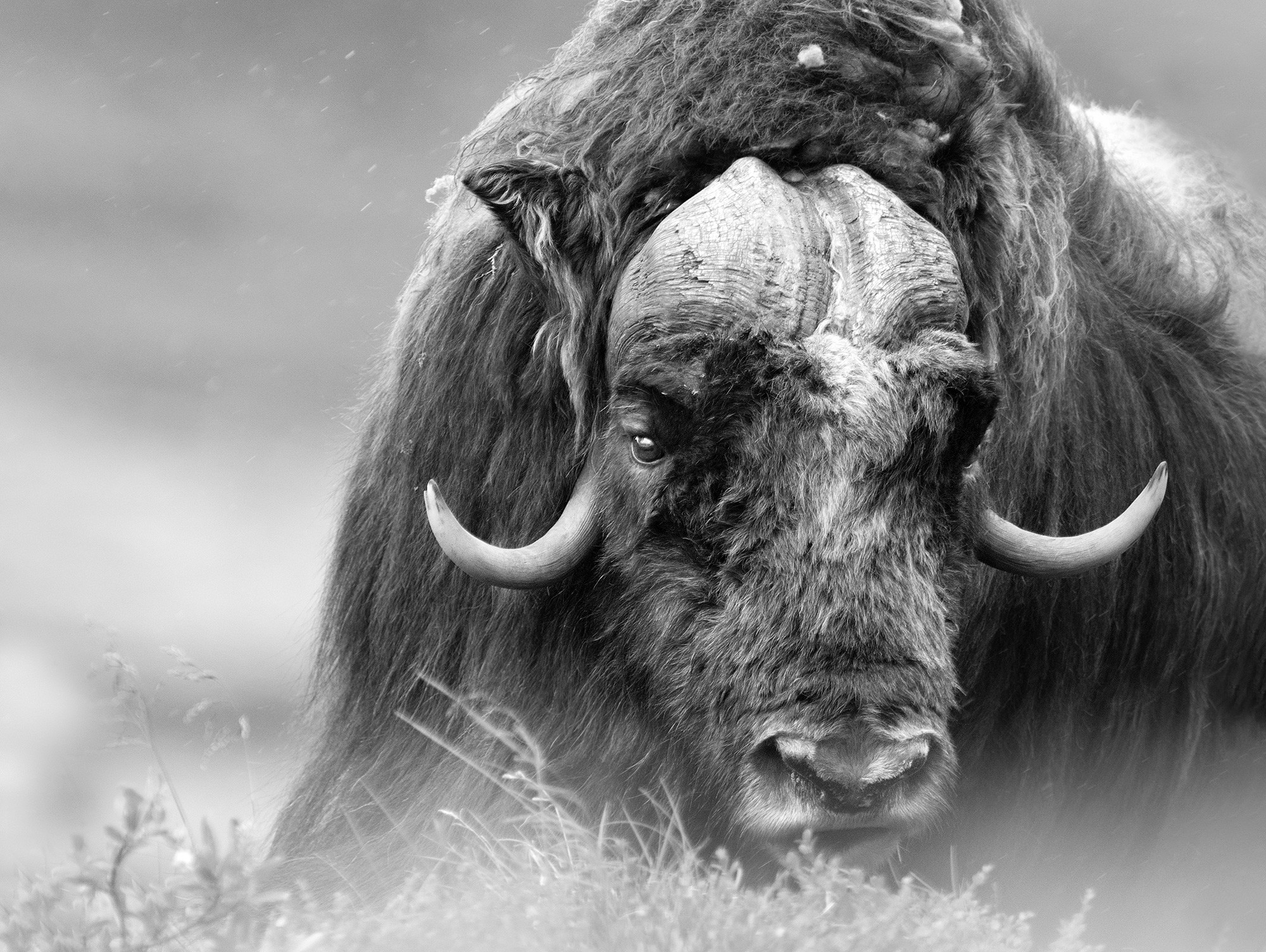 _B9I2598-Cristina-Abilleira