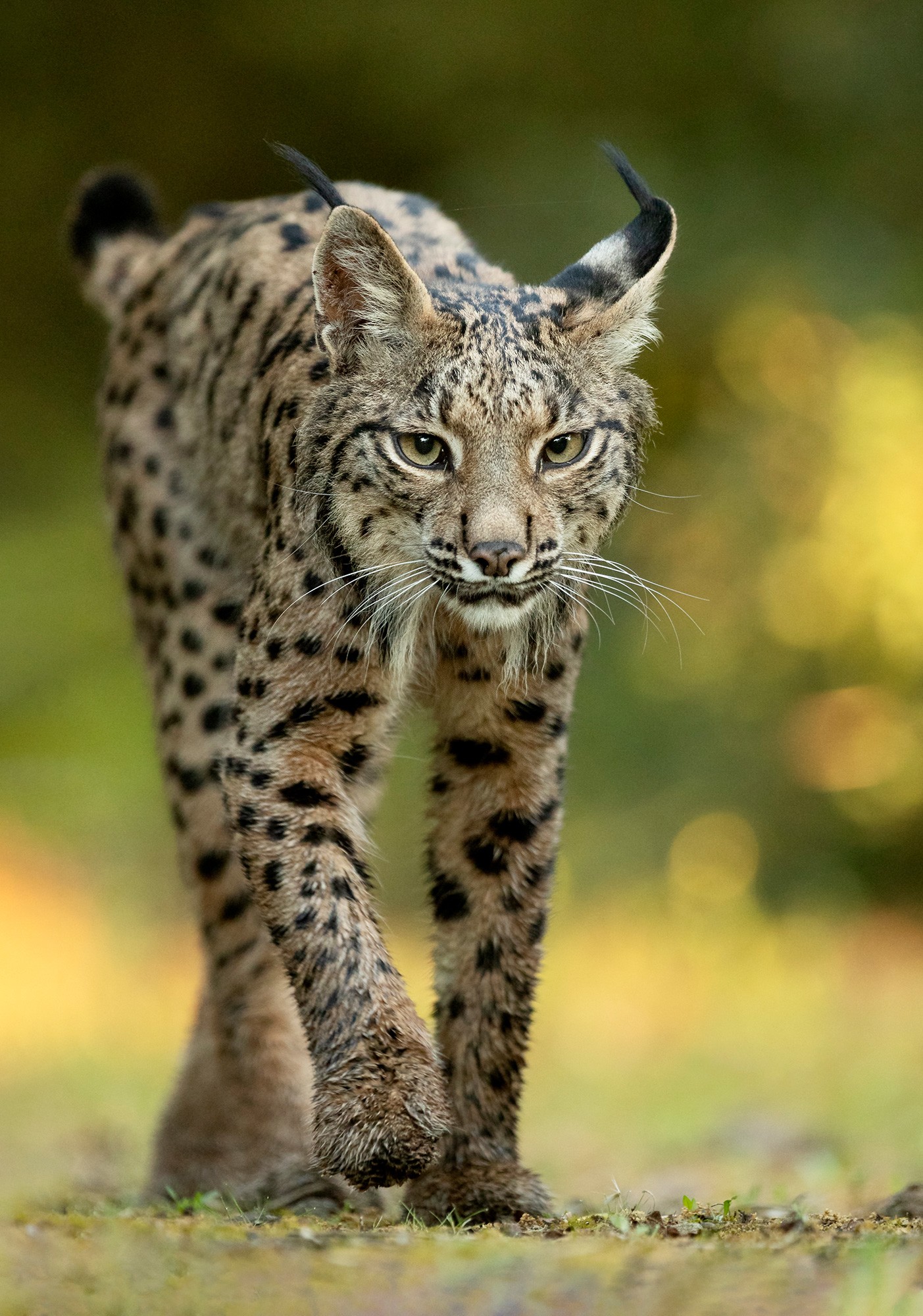 _B9I3402-Cristina-Abilleira