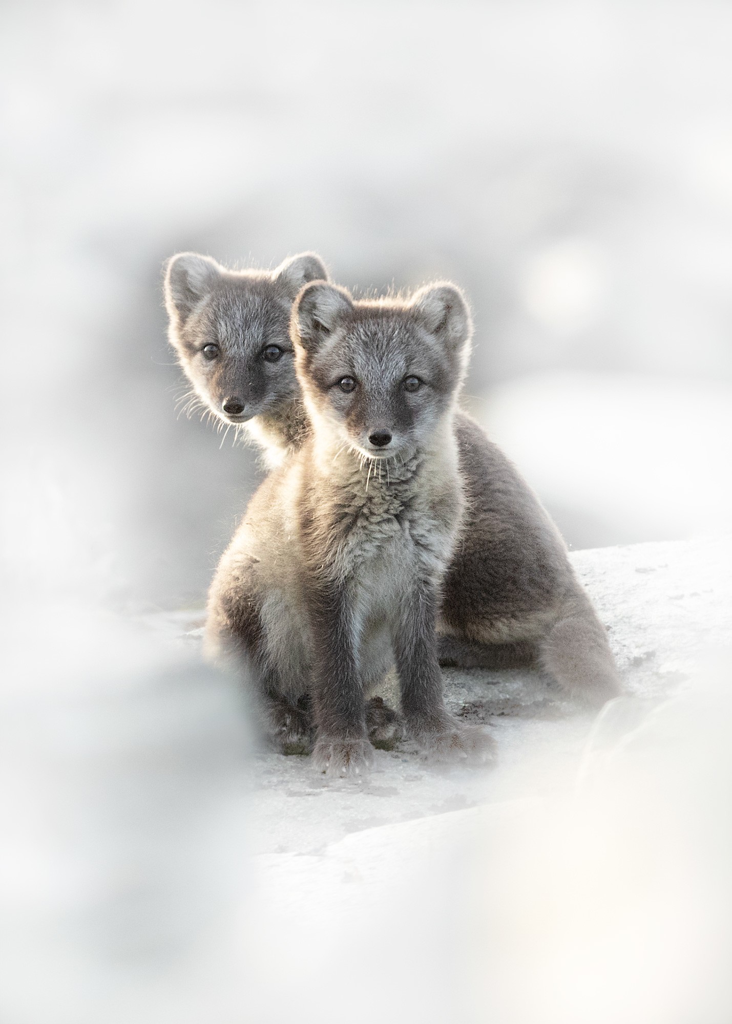 _B9I3531-Cristina-Abilleira