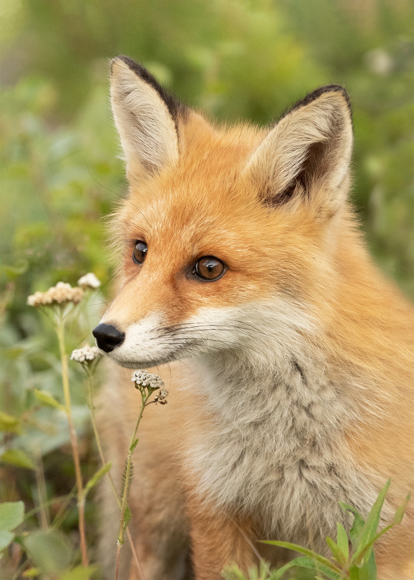 _B9I3761-Cristina-Abilleira