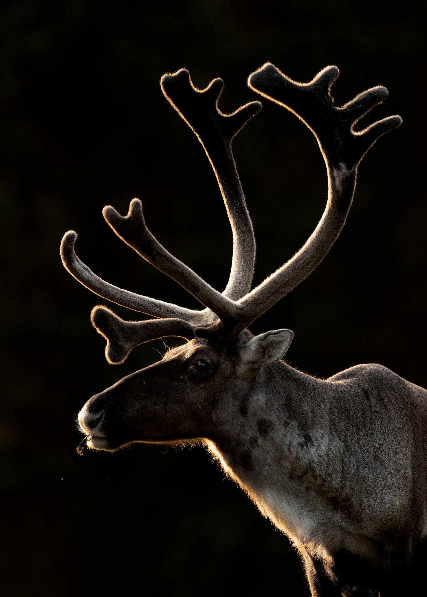 _B9I5398-Cristina-Abilleira