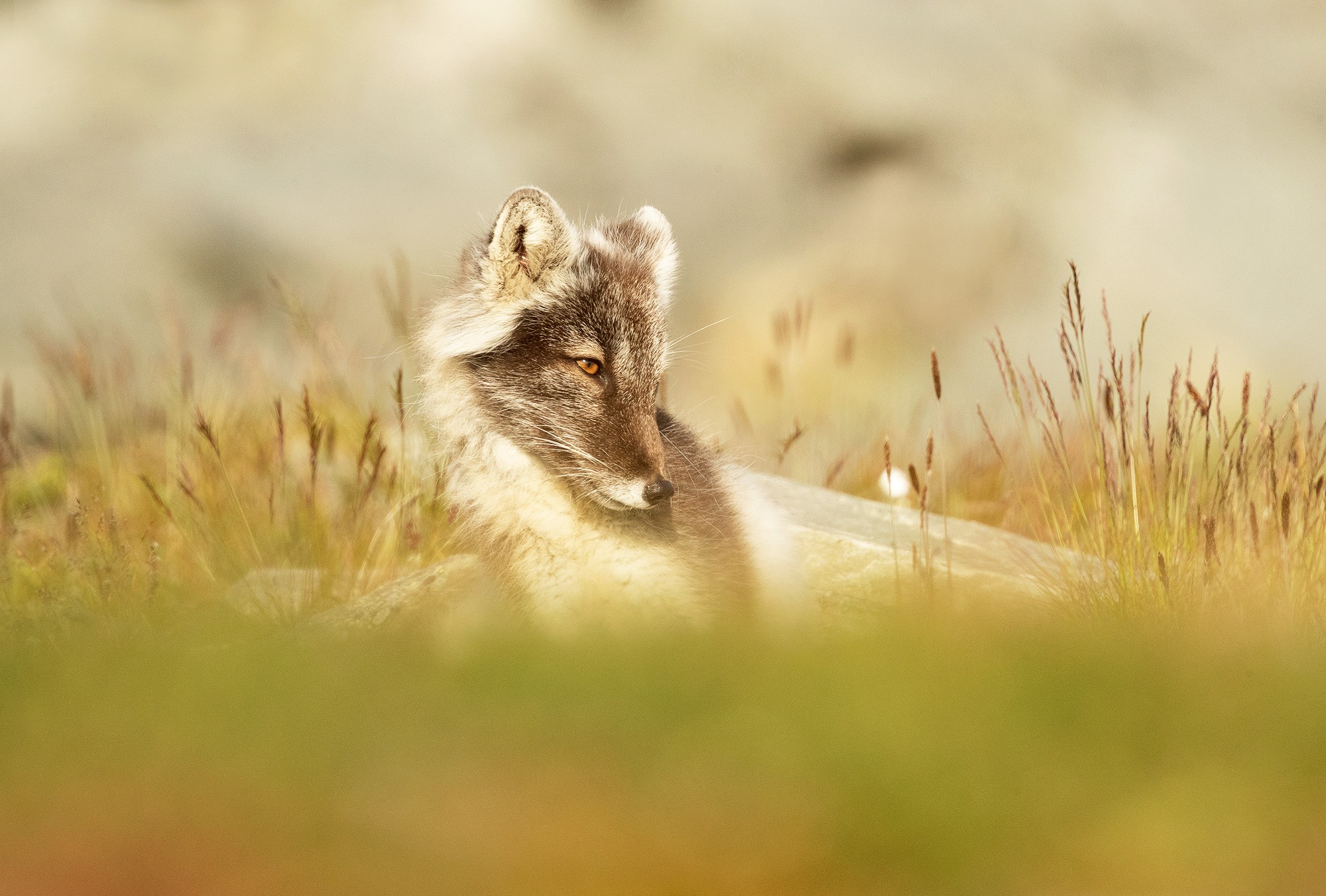 _B9I8759-Cristina-Abilleira