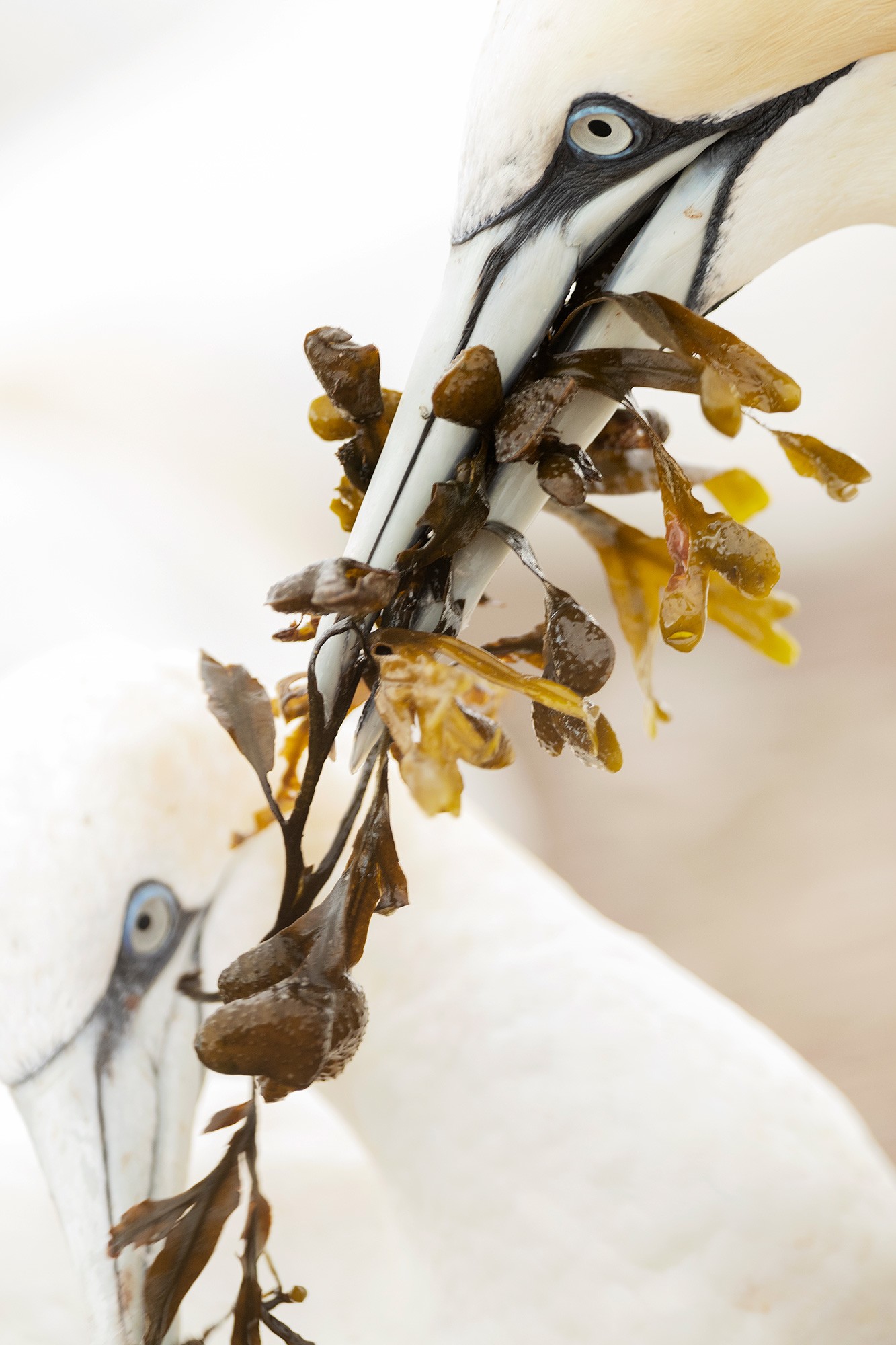 _B9I8925-Cristina-Abilleira