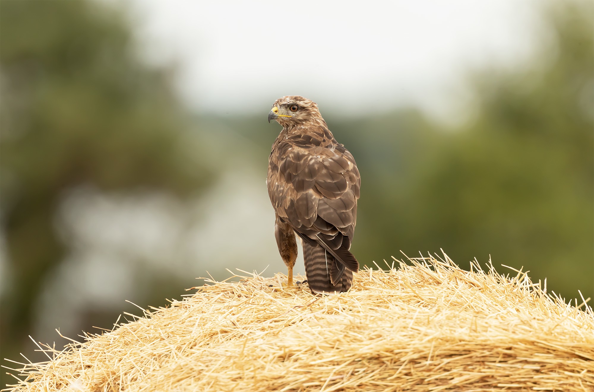 _B9I8934-Cristina-Abilleira