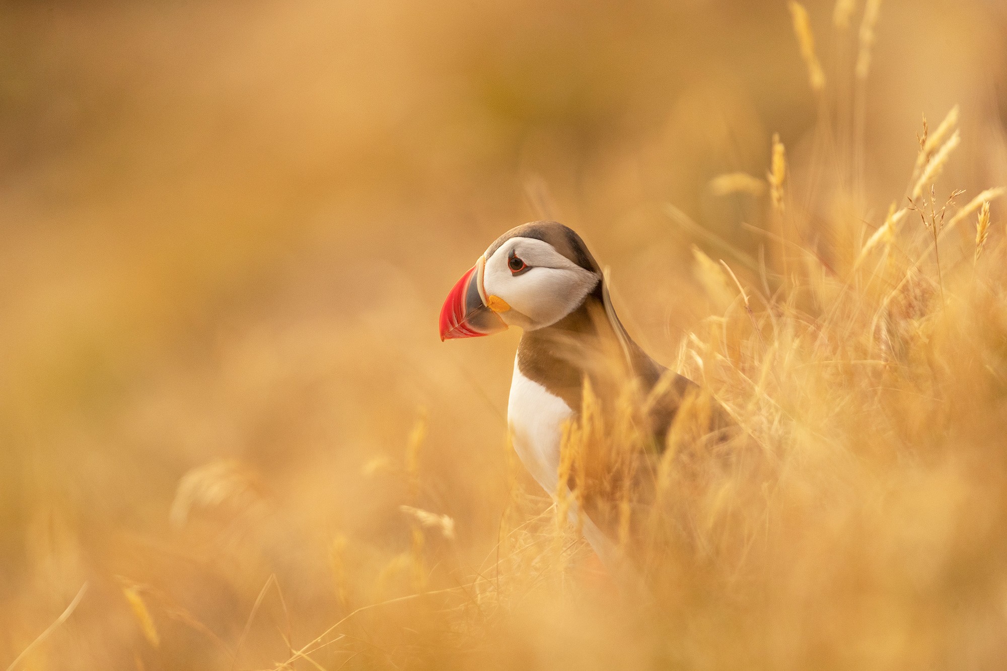 _B9I9162-Cristina-Abilleira