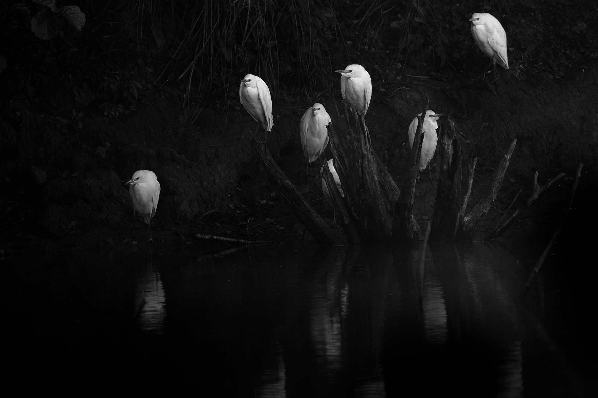 L0A3563-Cristina-Abilleira