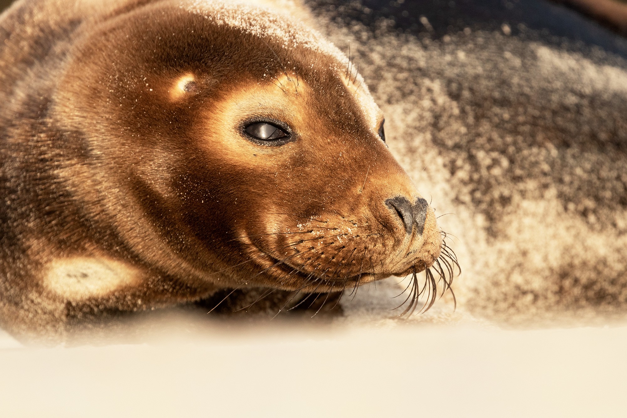 _L0A3794-Cristina-Abilleira