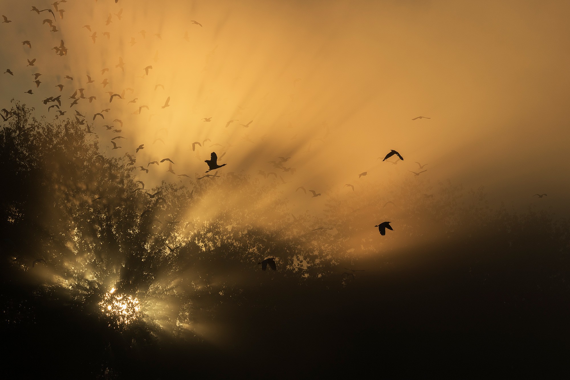 L0A3947-Cristina-Abilleira