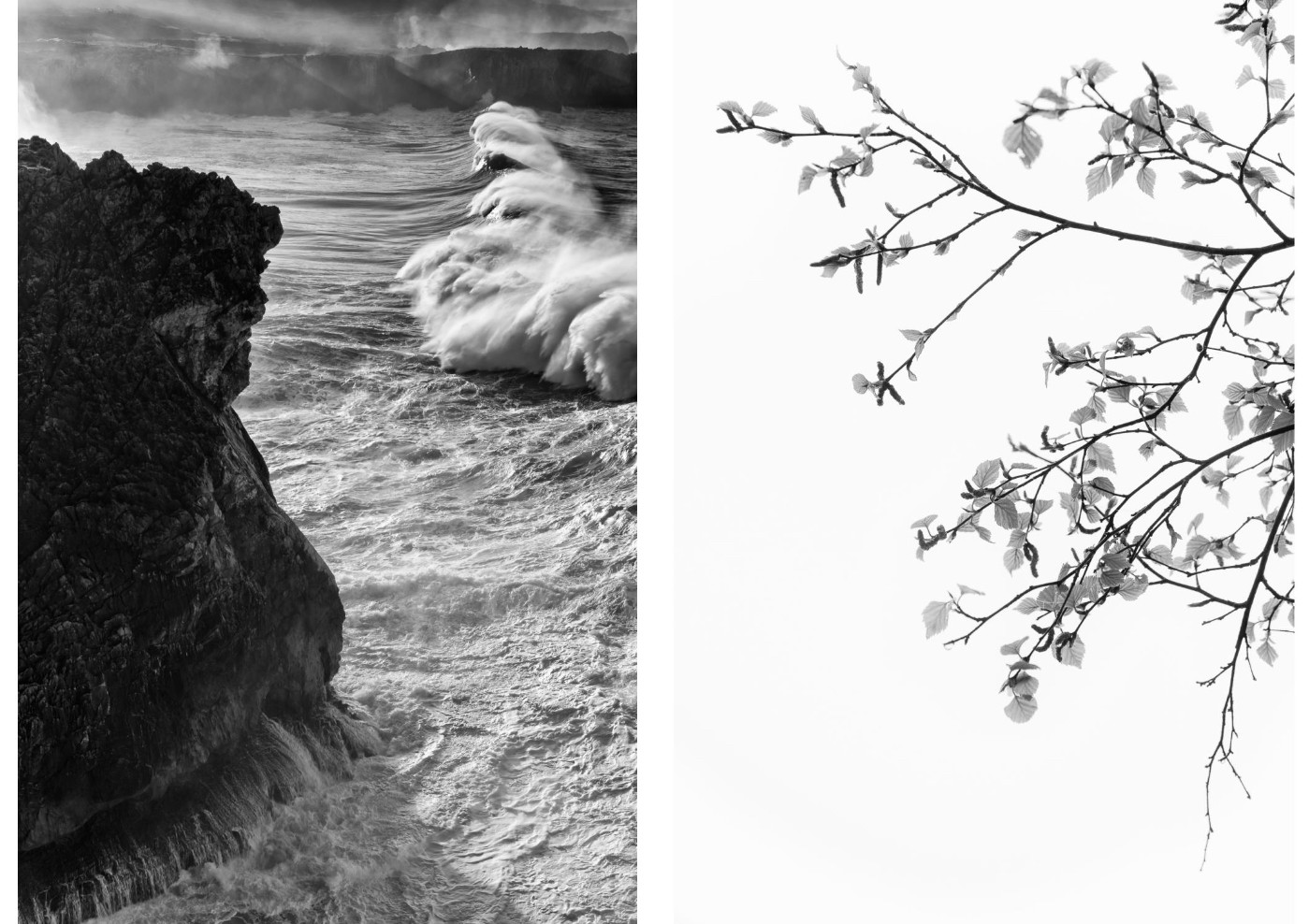 LNH NUM31_Paisaje en BN3