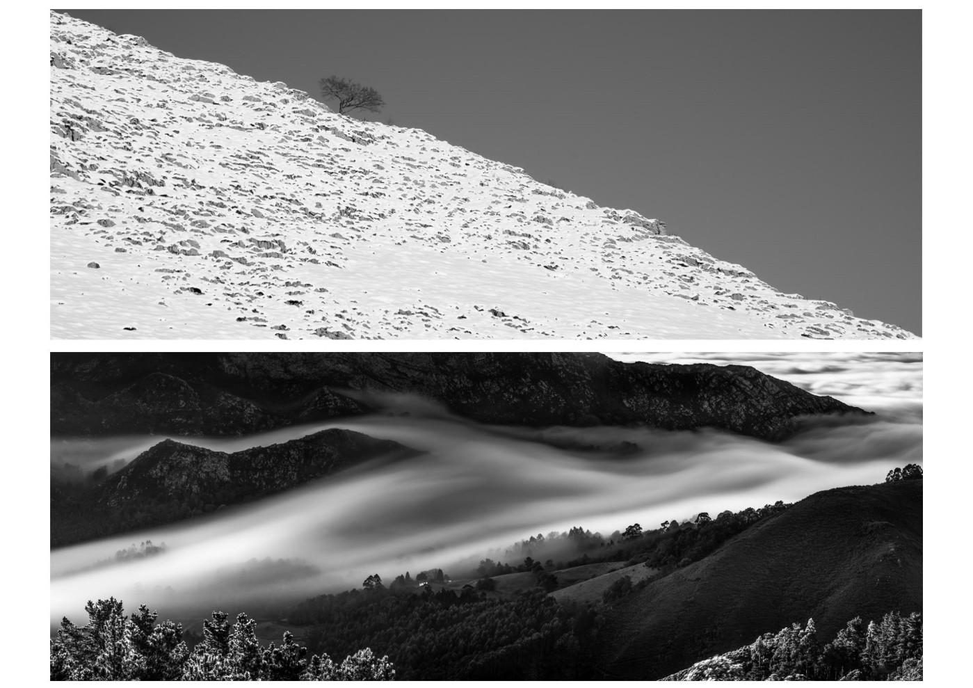 LNH NUM31_Paisaje en BN4