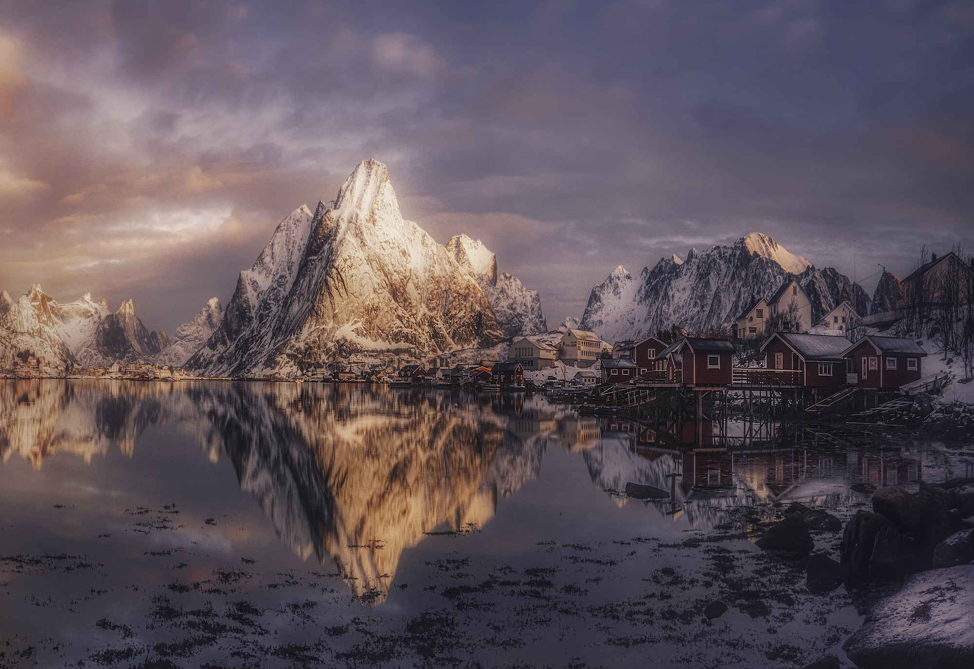Reine