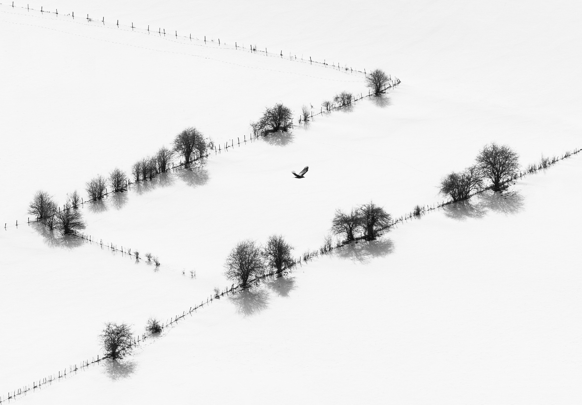 _MG_geometrias