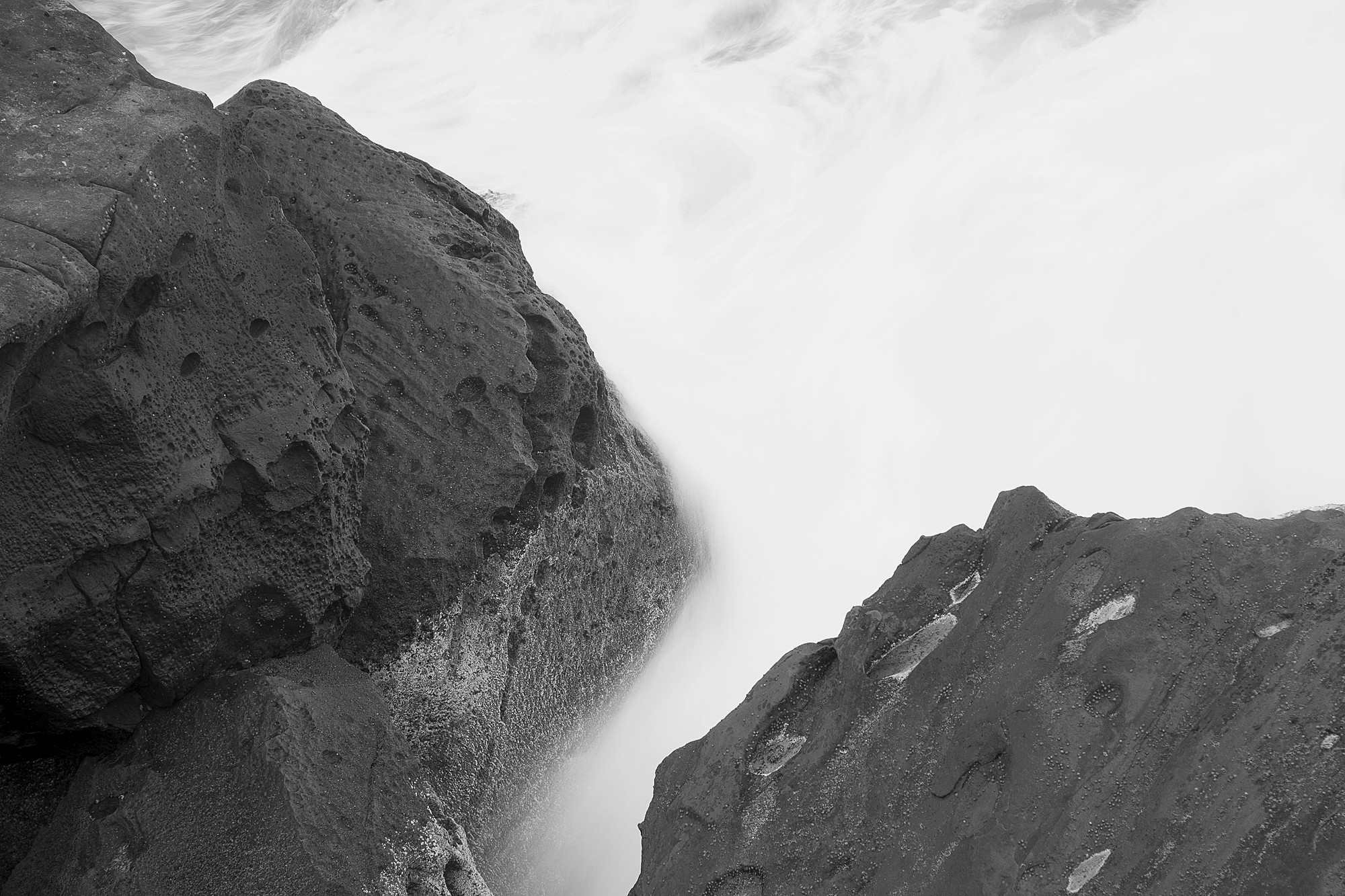 03_%22Awareness&Conscience%22_DSC2808sRGB