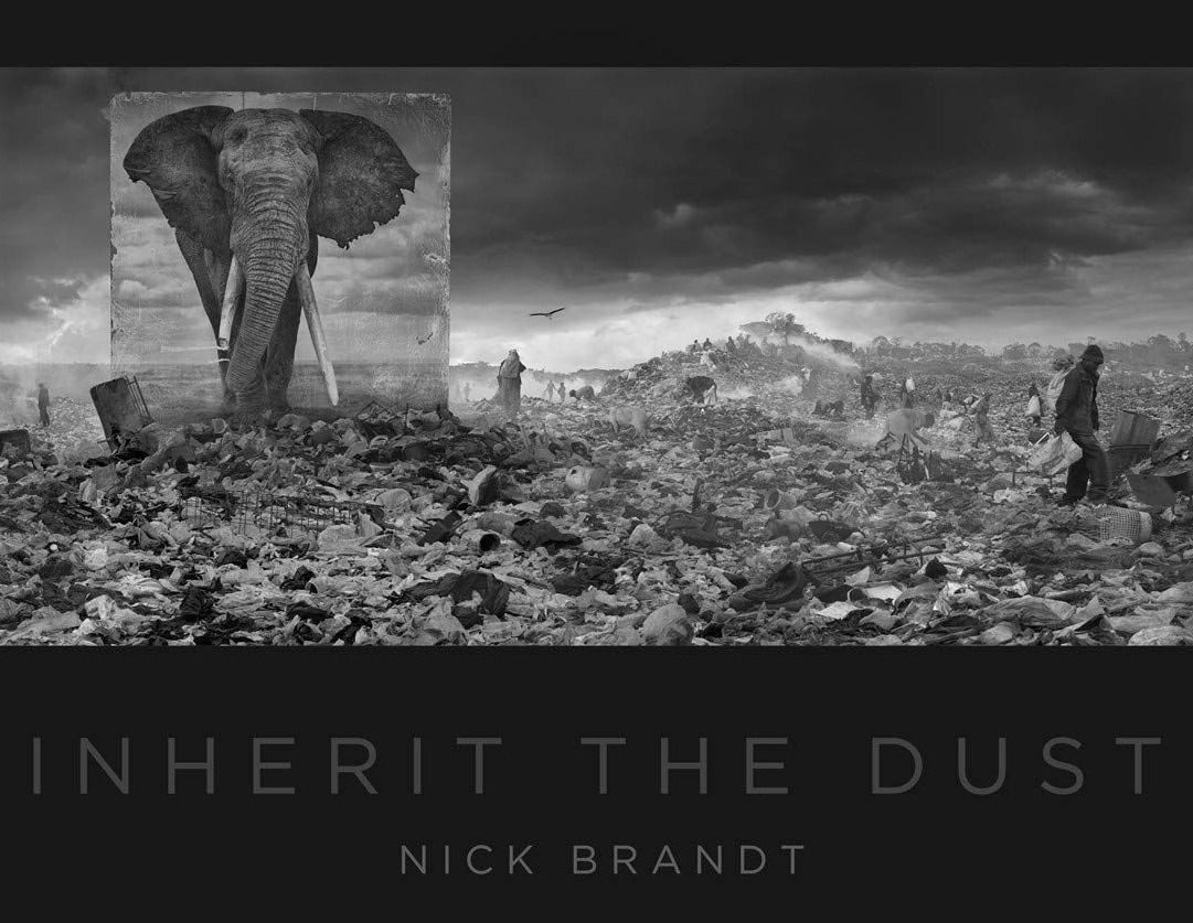 simbiosisfotopaisaje.com - inherit-the-dust.jpg