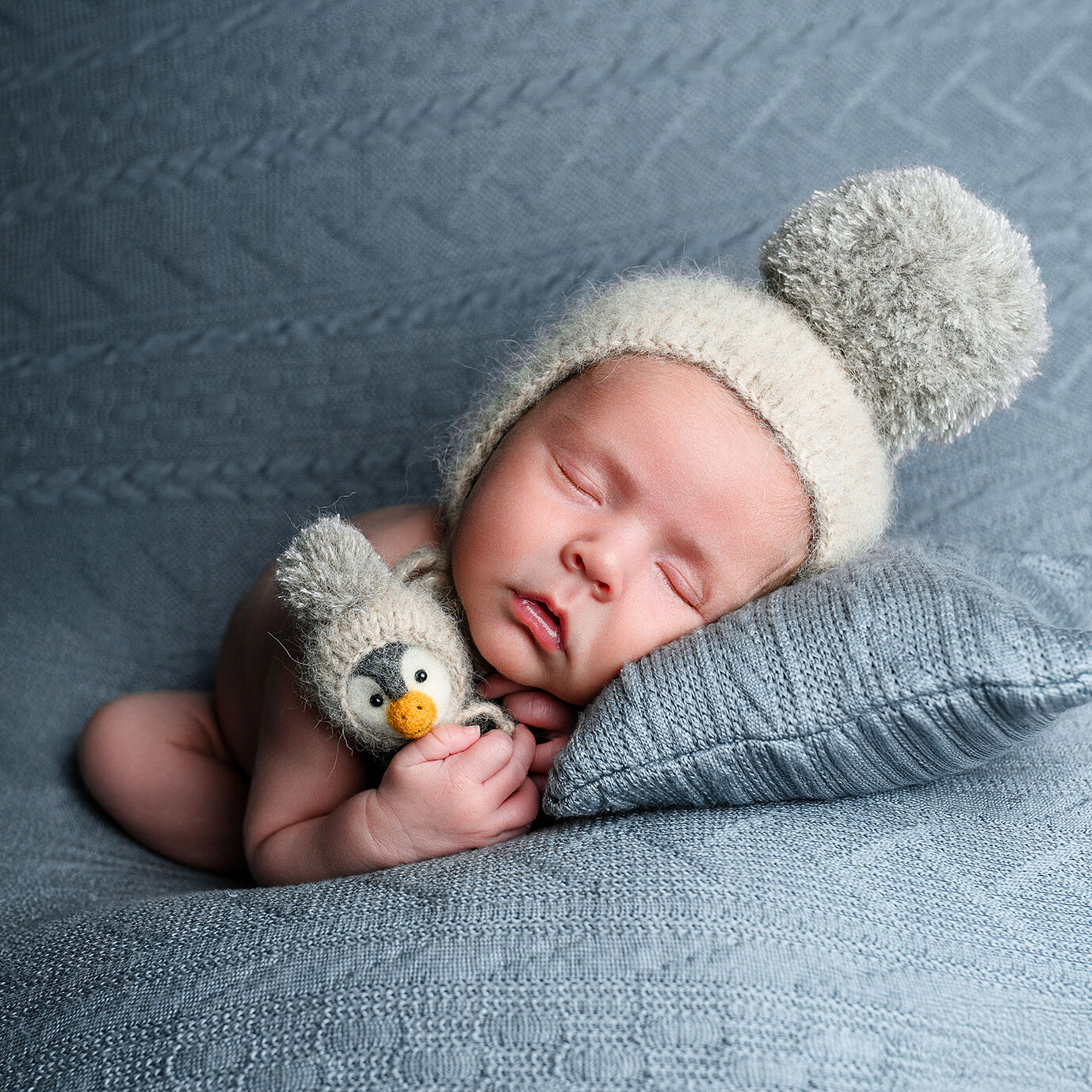 Pascual Vázquez Fotógrafos - pascual-vazquez-fotografos-45-de-471-copia-2-ts20260217103444670482.jpg