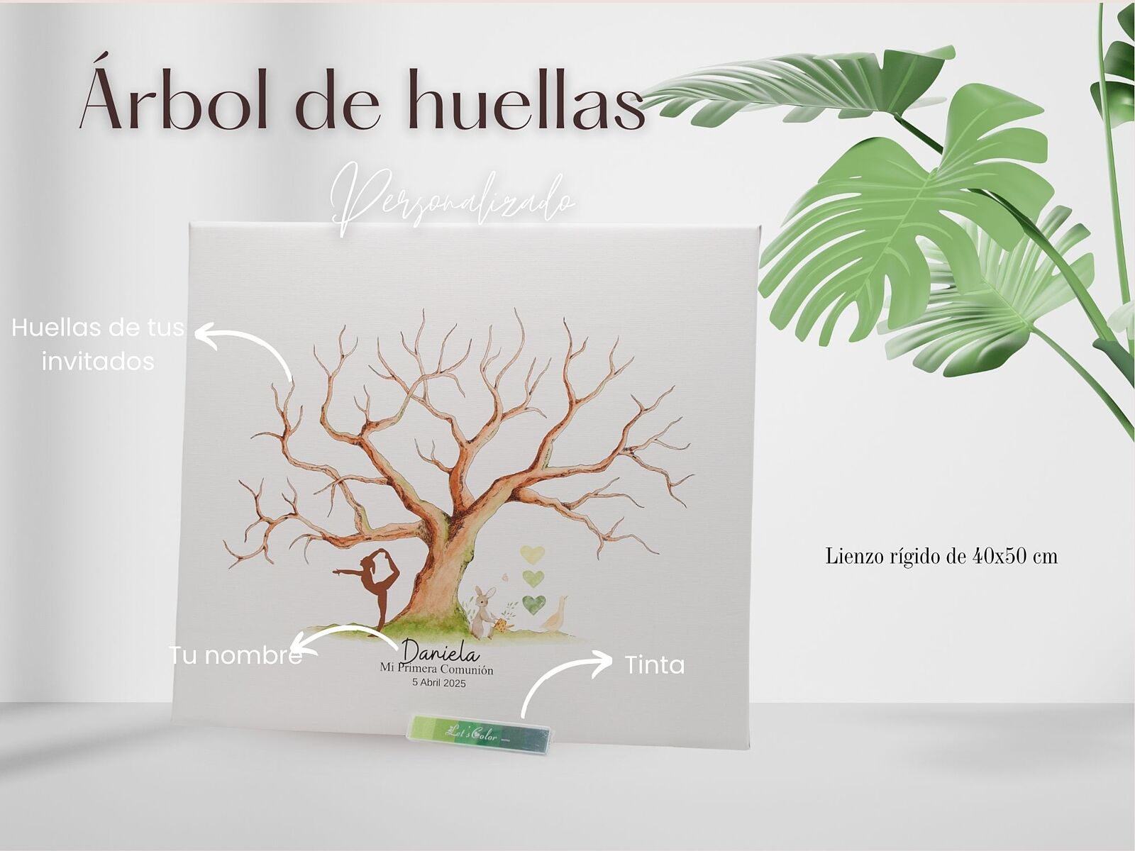 Pascual Vázquez Fotógrafos - 1-ts20250907141127447252.jpg