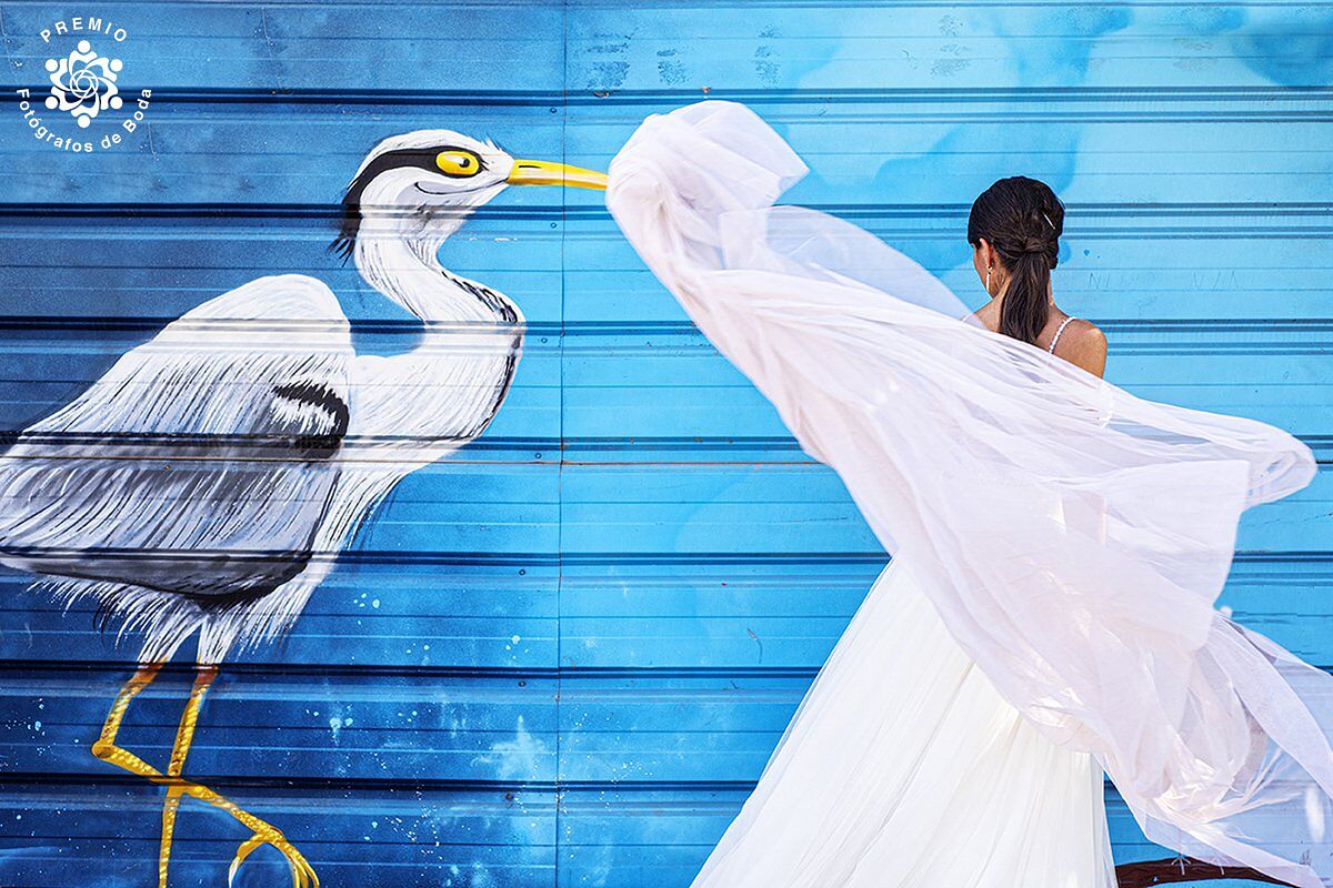 Fraco fotografía - bodas-en-cordoba-premios-de-fotografia-ts20251130184442759435.jpg