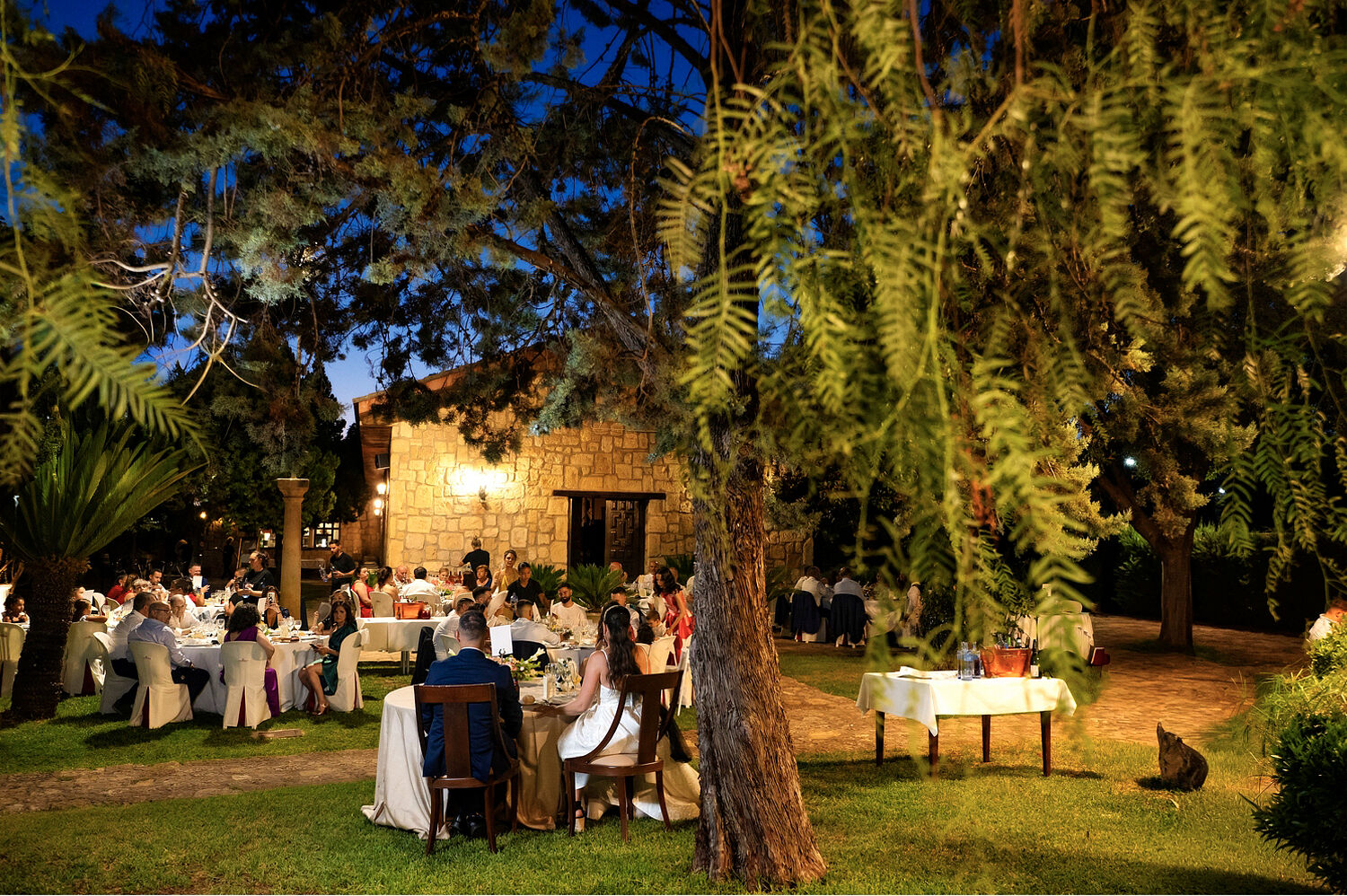 Fraco fotografía - opiniones-boda-ceremonia-civil-cuervas-romanas-cordoba-ts20260807102812845357.jpg